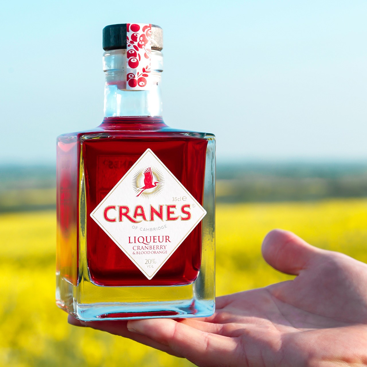 A Cranes bottle held against a bright landscape